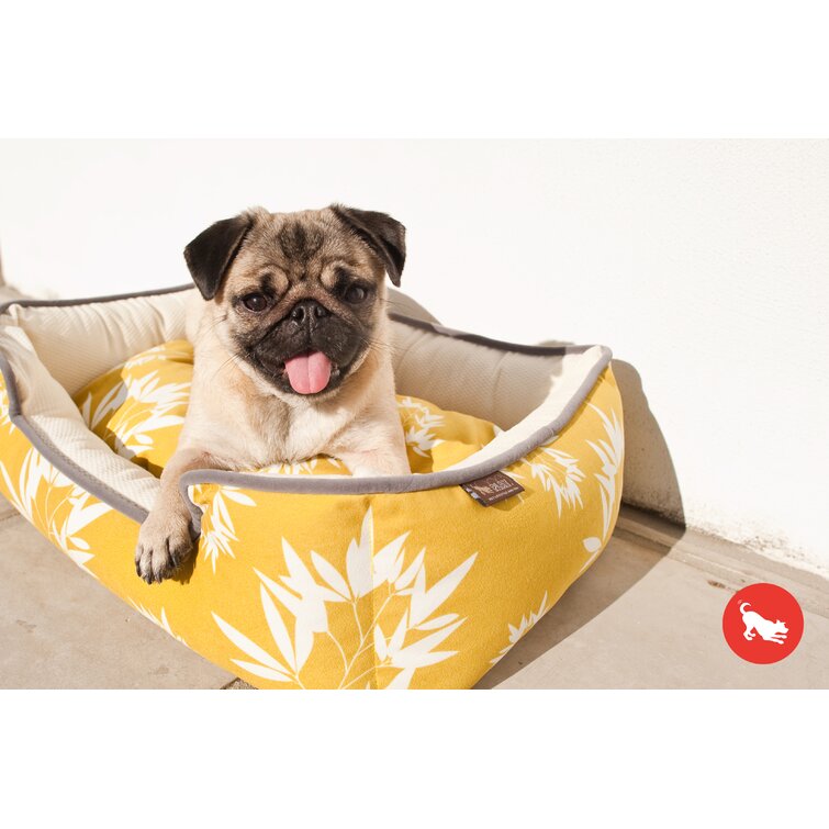 Wayfair canada outlet dog beds